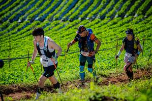 BIB: 1002, 1931
                            <button type="button" onclick="openModal(19161366)" class="btn btn-primary btn-sm float-right btn-popup" data-toggle="modal" data-target=".modal-high-quality">
                        <i class="fas fa-shopping-cart"></i> Add to Cart
                    </button>
                                            <button type="button" onclick="isThisMe(19161366, true)" class="btn btn-success btn-sm float-right btn-popup btn-isme hidden" data-toggle="tooltip" data-placement="bottom" title="นี่คือรูปของคุณใช่ไหม คลิกที่นี่เพื่อเอาเข้าอัลบั้ม">
                        <i class="fas fa-plus"></i> Add to album
                    </button>
                    <button type="button" onclick="isThisMe(19161366, false)" class="btn btn-warning btn-sm float-right btn-popup btn-isnotme hidden">
                        <i class="fas fa-ban"></i> Remove from album
                    </button>